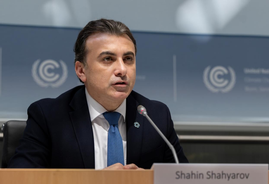 Foreign Ministry official: Concrete implementation mechanisms to combat climate change were presented during COP29 in Baku