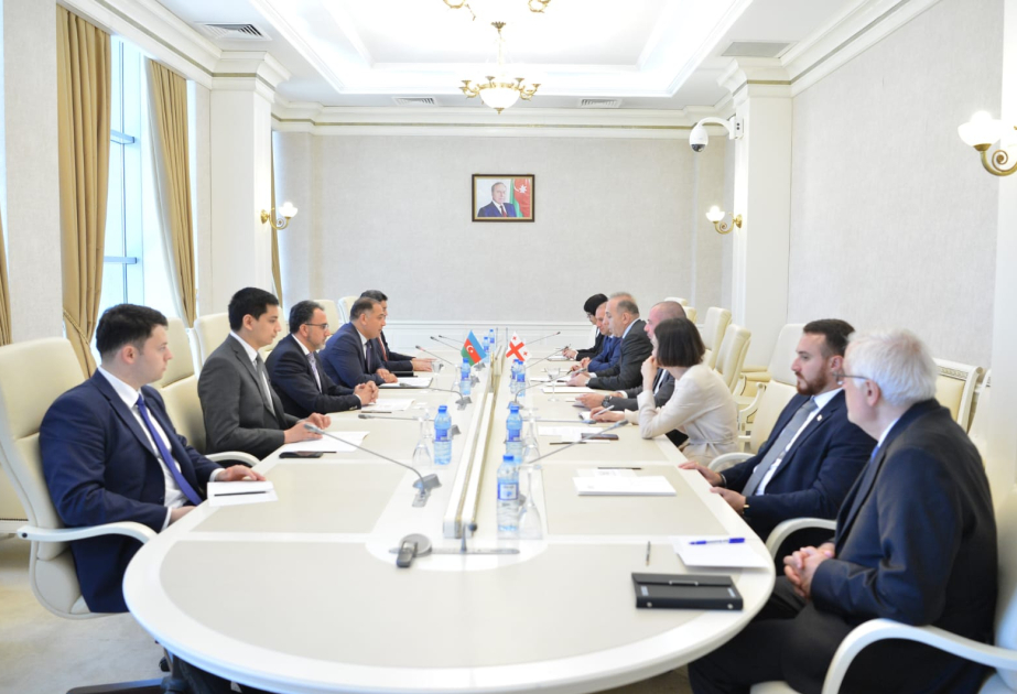 Las relaciones económicas entre Azerbaiyán y Georgia se están expandiendo