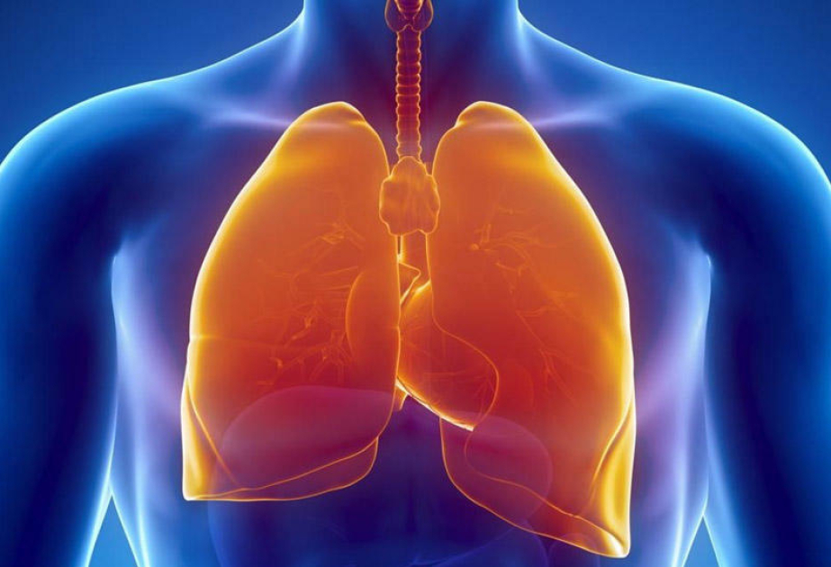 Common respiratory viruses linked to heart events in the short-term
