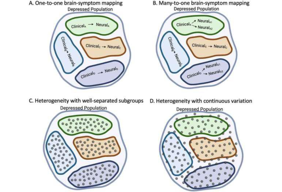Different brain profiles, same symptoms: Subtyping patients may provide key insights into depression's complexities