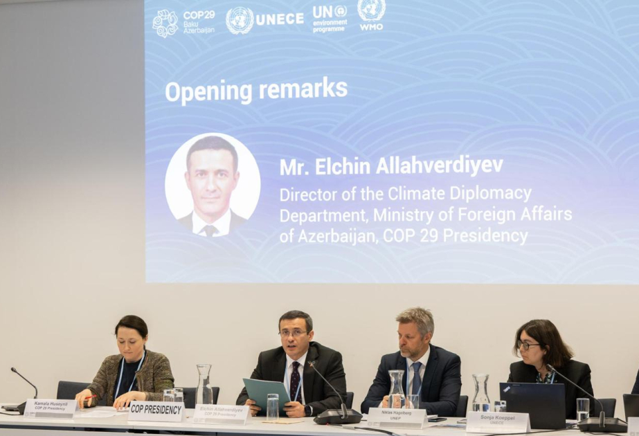Foreign Ministry Representative: “Baku Dialogue on Water for Climate Action” becomes vital partnership platform on global scale
