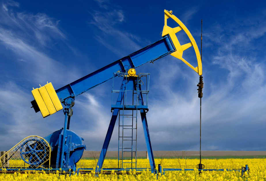 Нефть подорожала на мировых биржах
