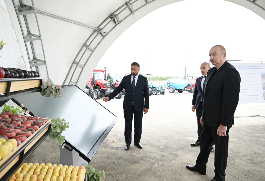 Prezident İlham Əliyev Yevlax pilot aqroparkının açılışında iştirak edib YENİLƏNİB