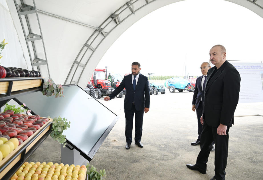 President Ilham Aliyev attended opening of Yevlakh pilot agricultural park VIDEO