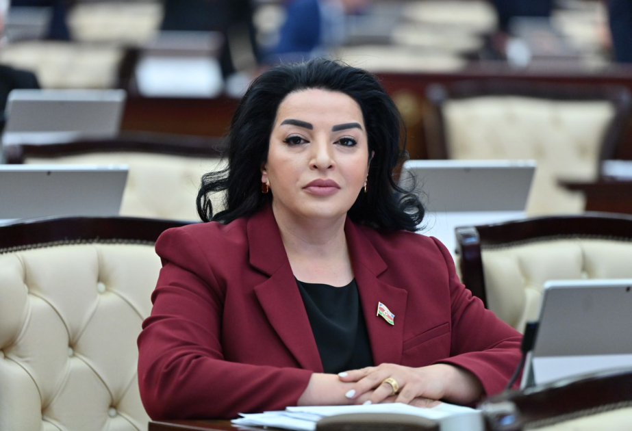 Kahramanmaraşdakı “Azərbaycan” məhəlləsi hər bir türkün qəlbində iftixar və qürur hissi doğurur ŞƏRH