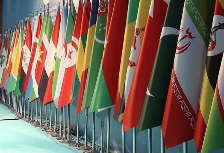 ОИС поддержал право западных азербайджанцев на возвращение ВИДЕО