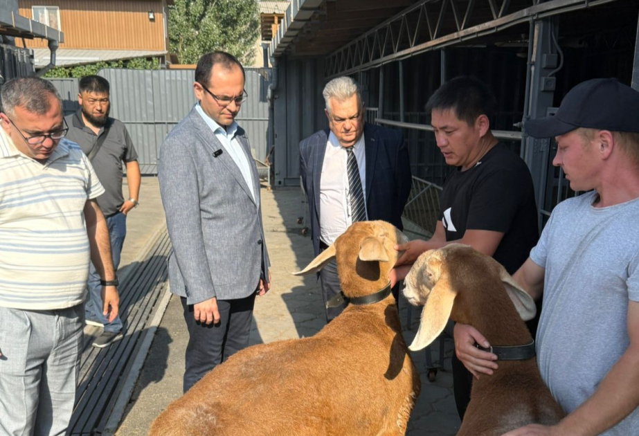 Kənd təsərrüfatı naziri Qırğızıstanda heyvandarlıq və balıqçılıq təsərrüfatları ilə tanış olub