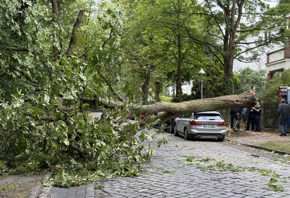 Unwetter: Ein Toter und drei Schwerverletzte bei Sturm in Berlin