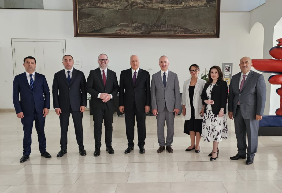 Azerbaijani delegation arrives in Austrian city of Linz