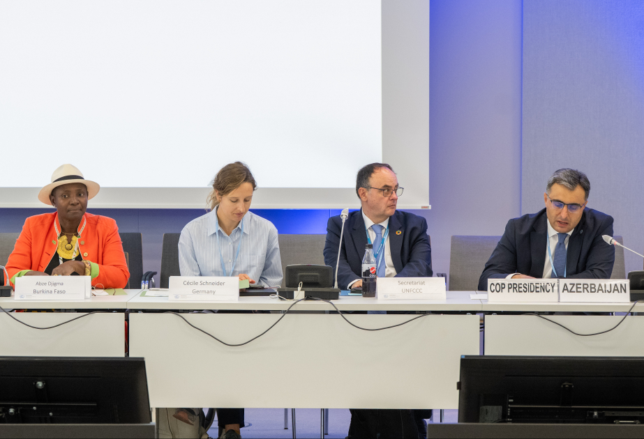 COP29-un nümayəndəsi Potensialın artırılması üzrə Paris Komitəsinin IX iclasında çıxış edib