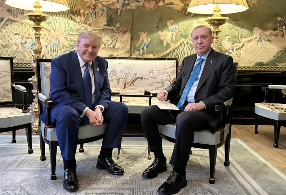 Turkish President Erdogan, Trump discuss regional, bilateral issues at NATO summit