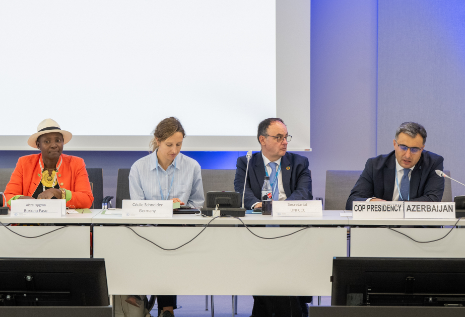 Representative of COP29 Presidency addresses ninth meeting of Paris Committee on Capacity-building