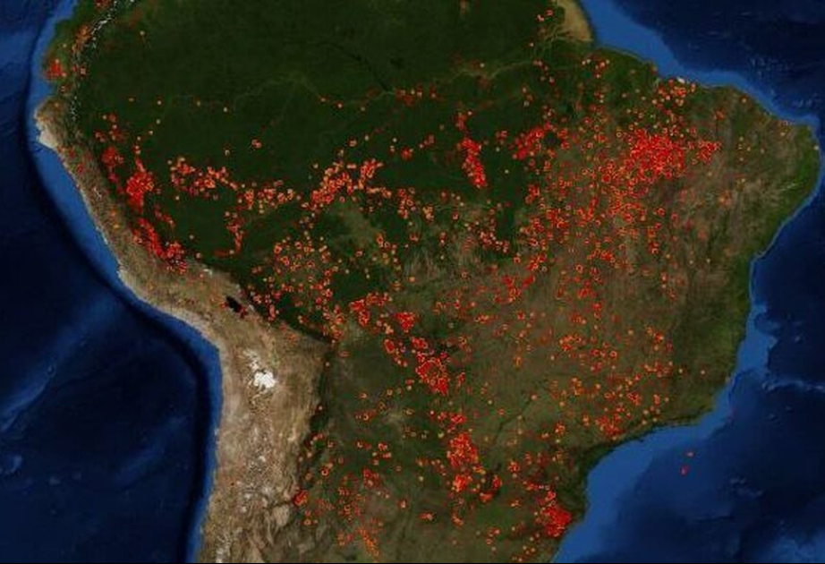 Waldbrände zerstören Rekordfläche in Brasilien
