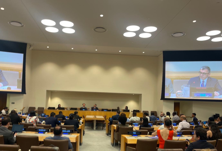 Azerbaijan’s candidate re-elected to UN Committee on Migrant Workers