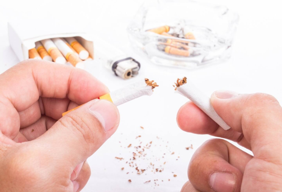 Laut Studie ist Tabak für jeden achten Tod verantwortlich