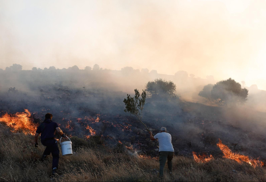 Waldbrände in Griechenland: 6.200 Hektar verbrannt