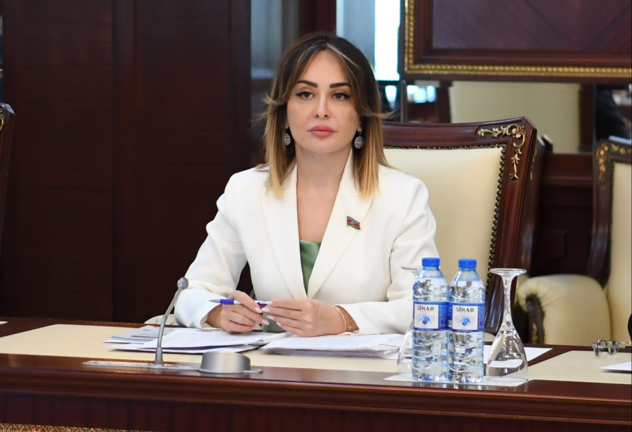 Daxili enerji infrastrukturuna investisiya yatırmaq xarici təhlükələrə qarşı dayanıqlığı artırır RƏY