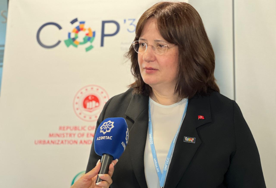 Nazir müavini: Türkiyə COP31-də Belemdən sonra qəbul olunacaq qərarları daha da irəli aparmaq gücünə malikdir