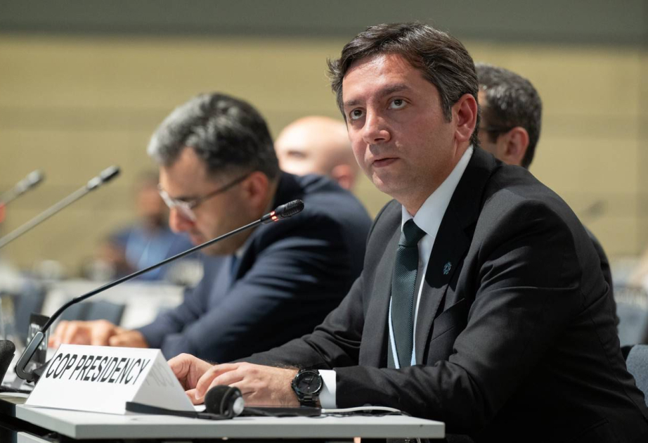 Yalchın Rafiyev: Each COP builds on its predecessors