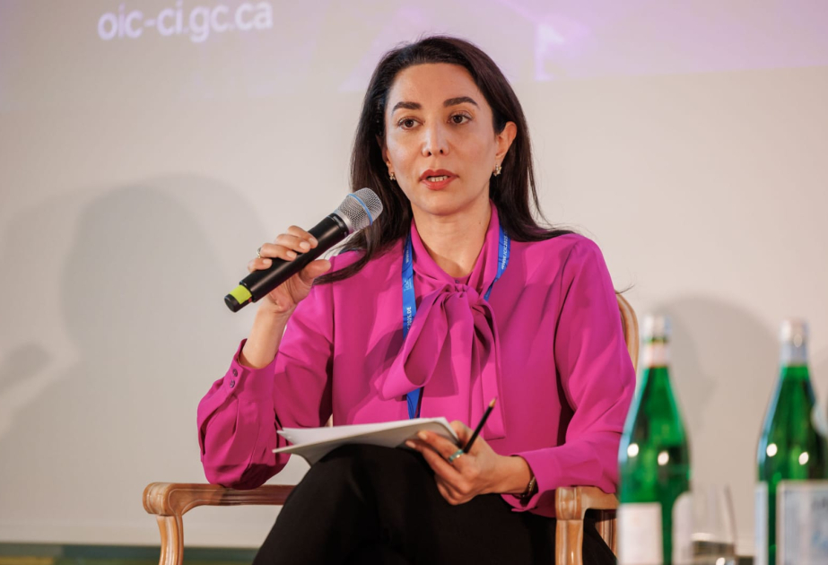 Azerbaijan’s Ombudsman addresses Armenia’s war crimes at international conference in Germany