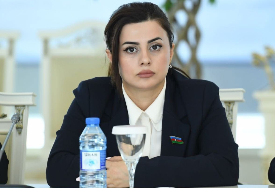 Deputat: Rusiyada “rus kimliyi” ideologiyasının süni şəkildə gücləndirilməsi bu ölkənin imperiya xislətini göstərir