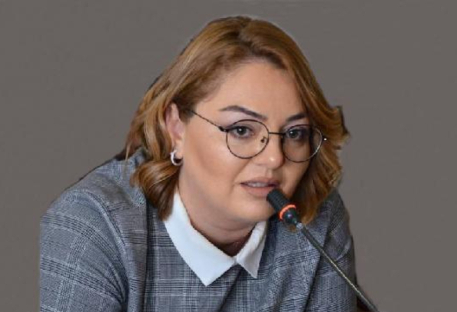 События в Екатеринбурге - это не только правовой вопрос, но и гуманитарная трагедия и дипломатическое пренебрежение КОММЕНТАРИЙ