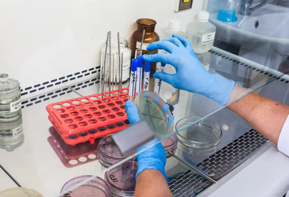 Cutaneous anthrax cases reported in Akmola region