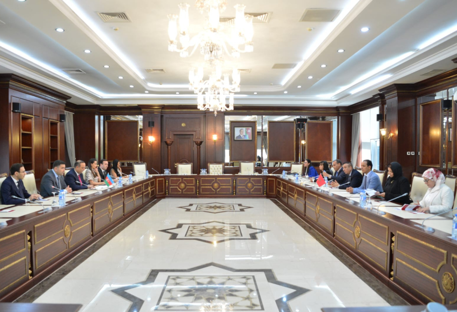 بحث التعاون بين لجنة الشباب والرياضة البرلمانية الأذربيجانية ومجموعة العمل الموضوعاتية المكلفة بتقييم "برامج محو الأمية"