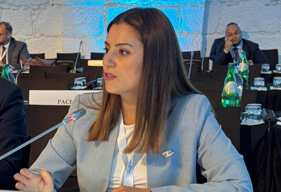 Remaining obstacles must be removed to pave way for signing peace agreement between Azerbaijan and Armenia, says deputy