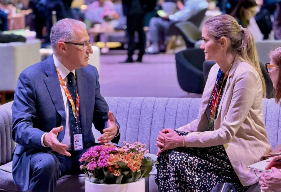 L’Azerbaïdjan et l’Espagne discutent du rôle de la COP29 en matière de financement climatique