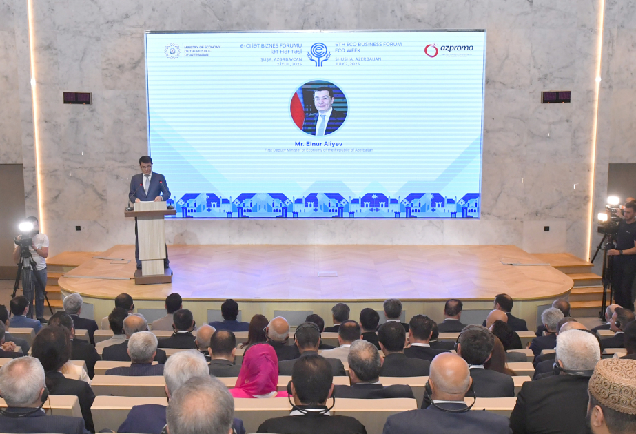 Elnur Əliyev: Yaşıl enerji Azərbaycanın yeni inkişaf baxışının mərkəzində dayanır