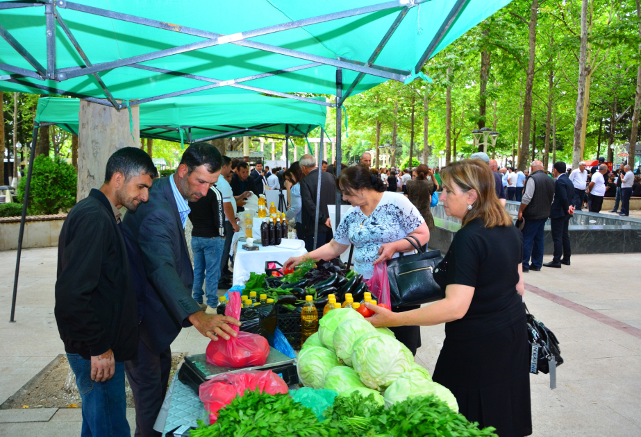 Ağstafada Məhsul bayramı keçirilib