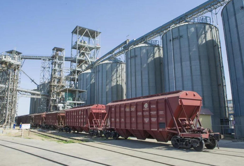 В Астане объяснили, чем обусловлен рост экспорта казахстанского зерна в Азербайджан