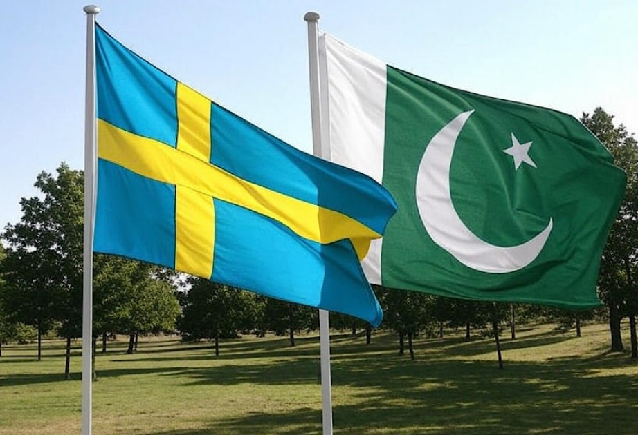 Pakistan and Sweden hold bilateral political consultations