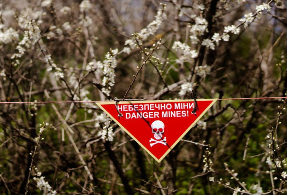 ONU: 100 millions de personnes dans 60 pays vivent encore sous la menace des mines terrestres