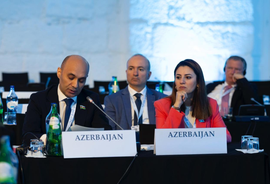 OSCE PA calls for assistance to Azerbaijan in demining efforts and rehabilitation