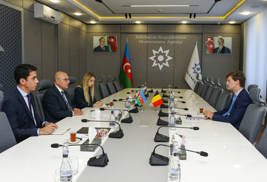 Azərbaycan və Belçika arasında mina təhlükəsi ilə mübarizə sahəsində əməkdaşlıq məsələləri müzakirə olunub