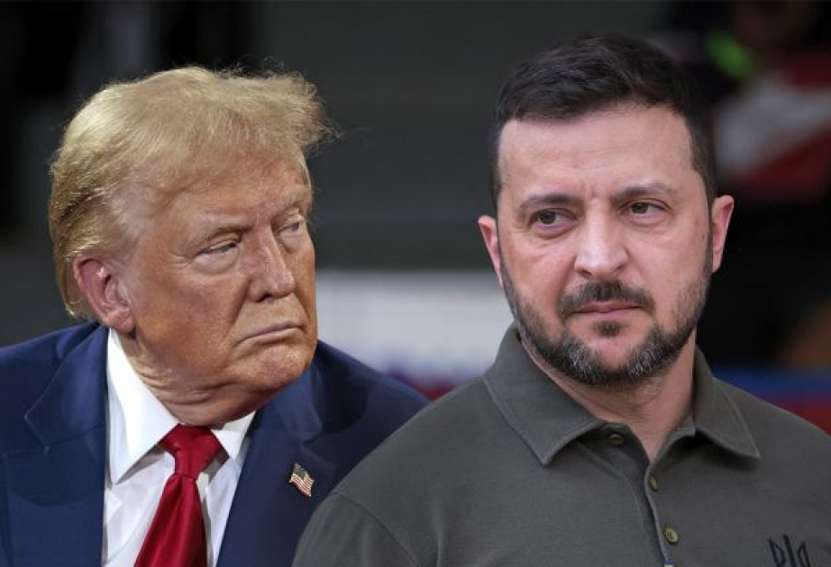 Зеленский и Трамп поговорили по телефону