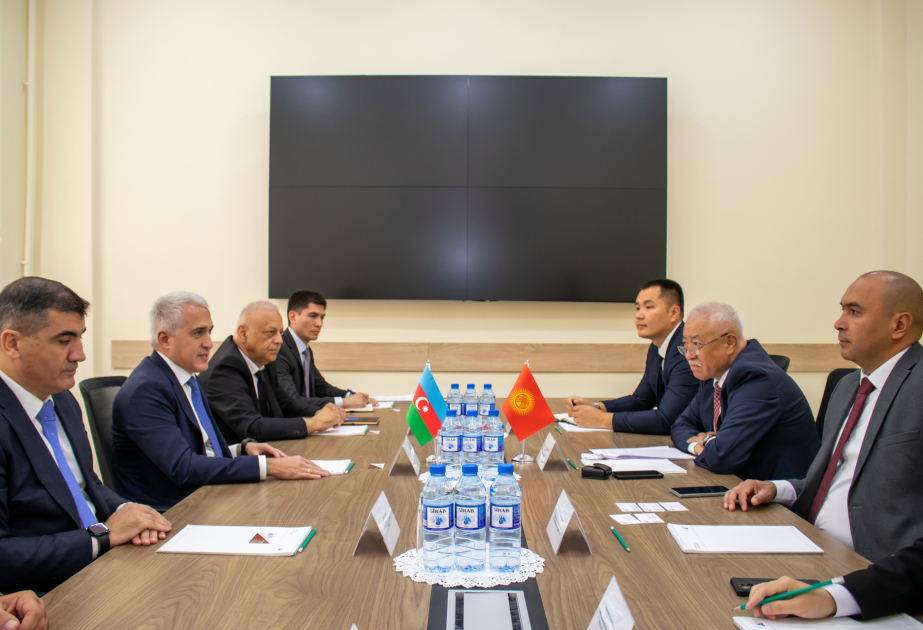 Chairman of AERA Board meets with Director General of Kyrgyz Energy Settlement Center