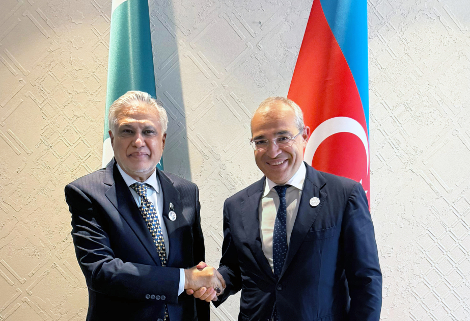 Azerbaijan, Pakistan discuss intensive promotion of mutual investments