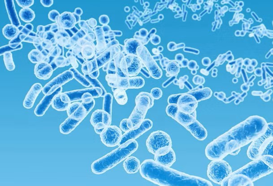 Australian-led study reveals how early microbes power life on Earth