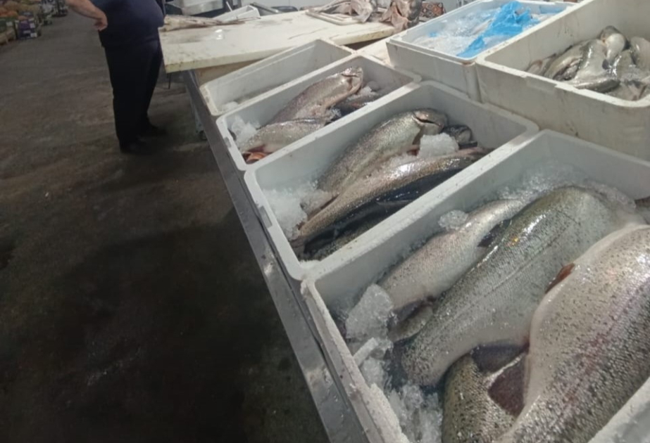 “Keşlə” bazarında istehlaka yararsız balıq məhsulları aşkarlanıb