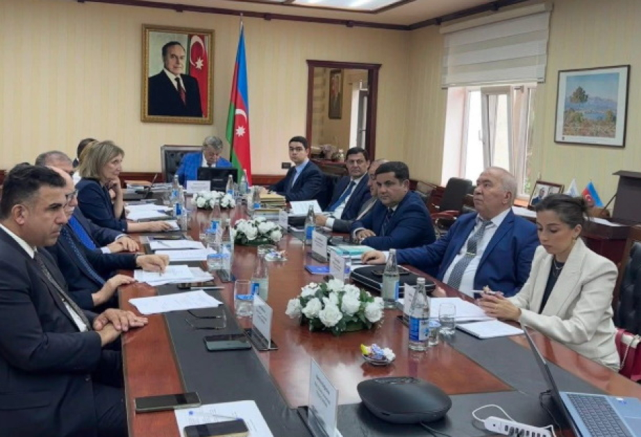 Əqli Mülkiyyət Agentliyində BDU magistrantlarının dissertasiya işlərinin müdafiəsi keçirilib
