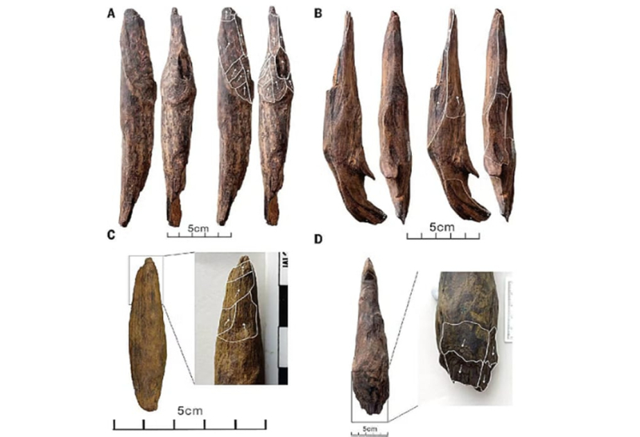 Sophisticated wooden tools found in SW China reveal early human ingenuity