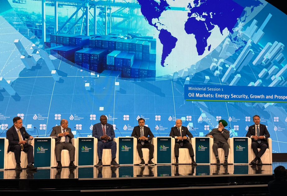 El suministro energético sostenible requiere inversiones estratégicas, afirma el ministro de Energía de Azerbaiyán