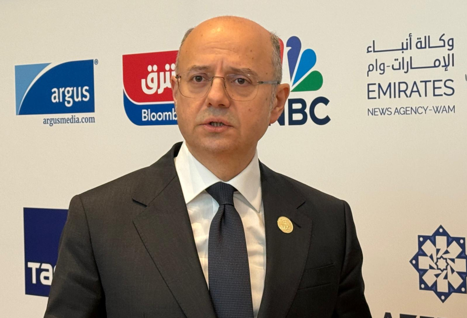 Energy Minister: Azerbaijan actively involved in OPEC+ format since its inception