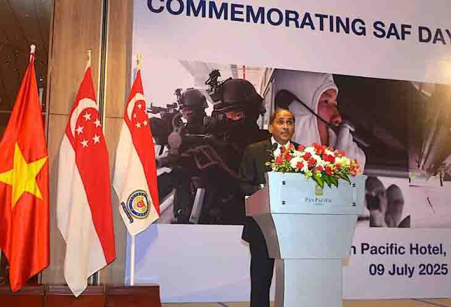Vietnam, Singapore defence cooperation develops substantively, effectively
