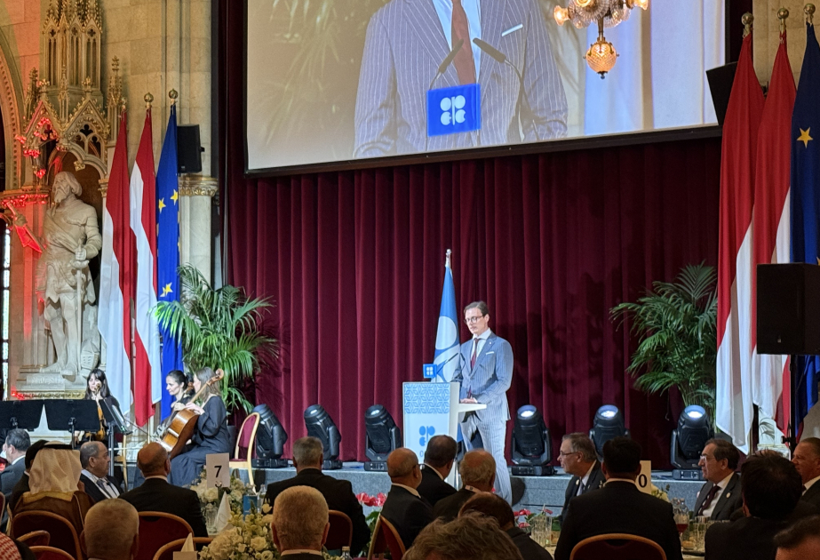 Viena acoge una recepción oficial en el marco del Seminario Internacional de la OPEP