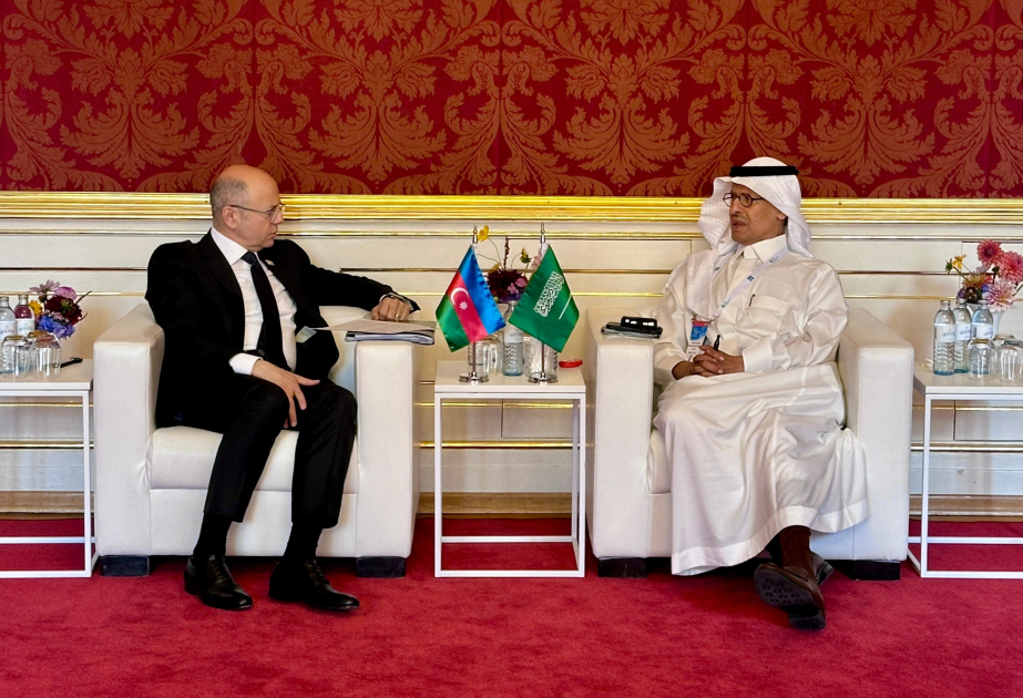 Azerbaiyán y Arabia Saudí analizan oportunidades de cooperación en el sector energético