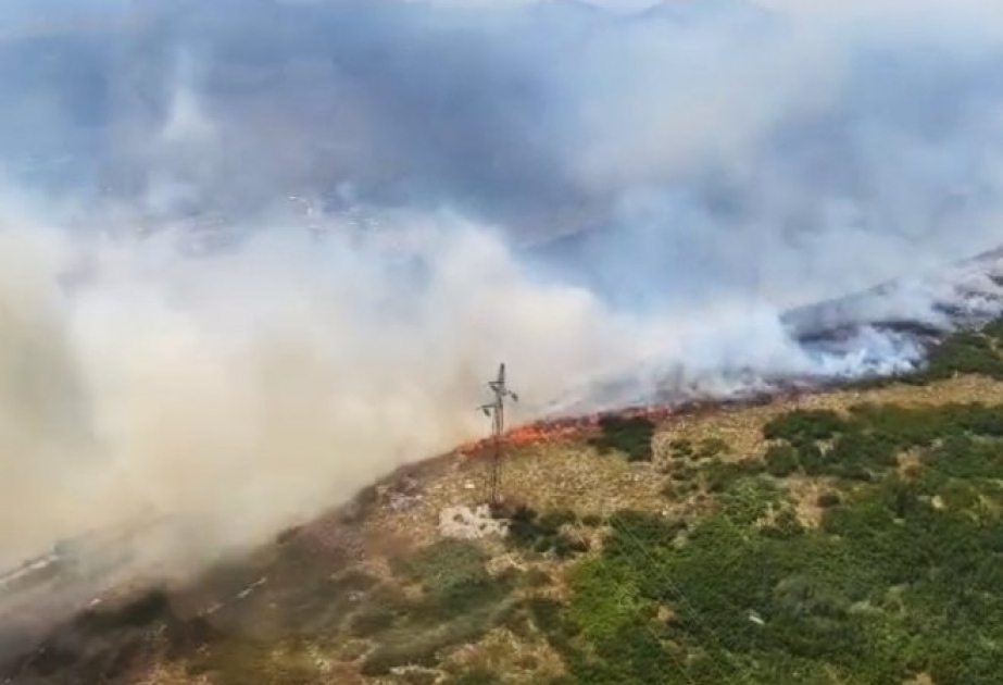 Serbiyada meşə yanğınları davam edir